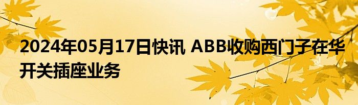 2024年05月17日快讯 ABB收购西门子在华开关插座业务