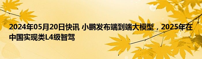 2024年05月20日快讯 小鹏发布端到端大模型，2025年在中国实现类L4级智驾