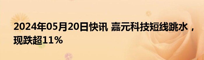 2024年05月20日快讯 嘉元科技短线跳水，现跌超11%