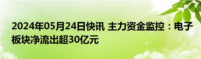 2024年05月24日快讯 主力资金监控：电子板块净流出超30亿元