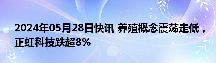 2024年05月28日快讯 养殖概念震荡走低，正虹科技跌超8%