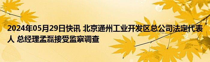 2024年05月29日快讯 北京通州工业开发区总公司法定代表人 总经理孟磊接受监察调查