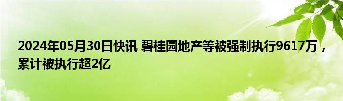 2024年05月30日快讯 碧桂园地产等被强制执行9617万，累计被执行超2亿