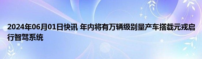 2024年06月01日快讯 年内将有万辆级别量产车搭载元戎启行智驾系统