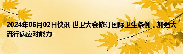 2024年06月02日快讯 世卫大会修订国际卫生条例，加强大流行病应对能力