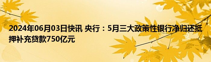 2024年06月03日快讯 央行：5月三大政策性银行净归还抵押补充贷款750亿元