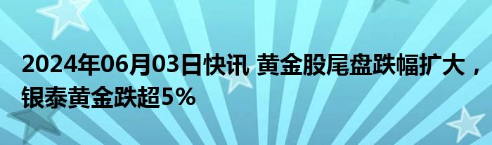 2024年06月03日快讯 黄金股尾盘跌幅扩大，银泰黄金跌超5%