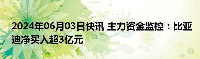 2024年06月03日快讯 主力资金监控：比亚迪净买入超3亿元