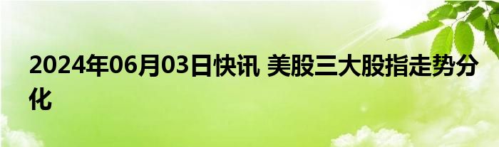 2024年06月03日快讯 美股三大股指走势分化