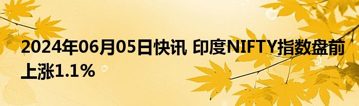 2024年06月05日快讯 印度NIFTY指数盘前上涨1.1%