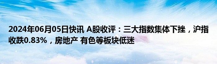 2024年06月05日快讯 A股收评：三大指数集体下挫，沪指收跌0.83%，房地产 有色等板块低迷