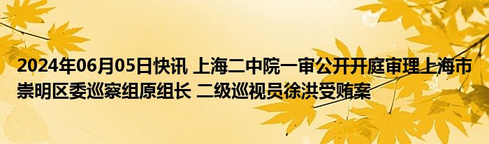 2024年06月05日快讯 上海二中院一审公开开庭审理上海市崇明区委巡察组原组长 二级巡视员徐洪受贿案