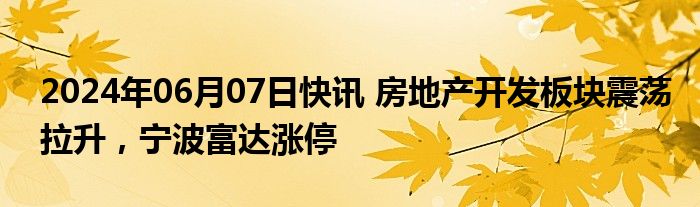 2024年06月07日快讯 房地产开发板块震荡拉升，宁波富达涨停