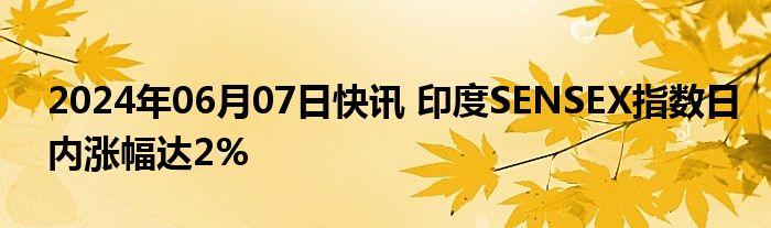 2024年06月07日快讯 印度SENSEX指数日内涨幅达2%