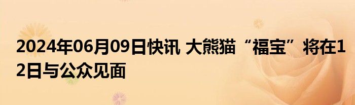 2024年06月09日快讯 大熊猫“福宝”将在12日与公众见面