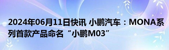 2024年06月11日快讯 小鹏汽车：MONA系列首款产品命名“小鹏M03”
