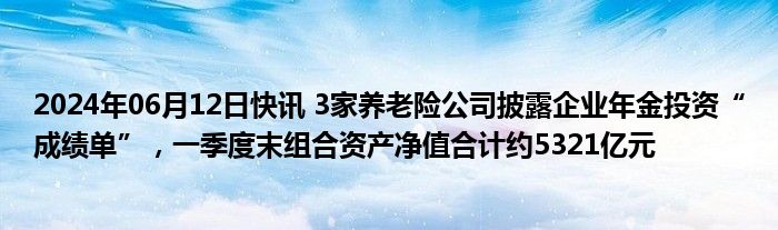 2024年06月12日快讯 3家养老险公司披露企业年金投资“成绩单”，一季度末组合资产净值合计约5321亿元