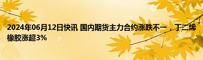 2024年06月12日快讯 国内期货主力合约涨跌不一，丁二烯橡胶涨超3%