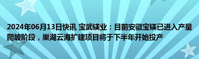 2024年06月13日快讯 宝武镁业：目前安徽宝镁已进入产量爬坡阶段，巢湖云海扩建项目将于下半年开始投产