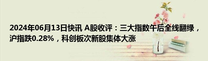 2024年06月13日快讯 A股收评：三大指数午后全线翻绿，沪指跌0.28%，科创板次新股集体大涨