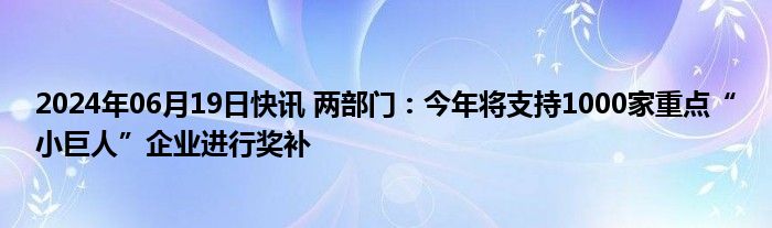 2024年06月19日快讯 两部门：今年将支持1000家重点“小巨人”企业进行奖补