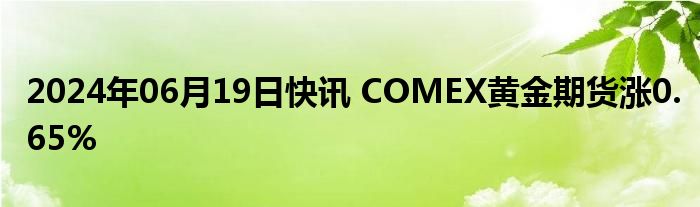 2024年06月19日快讯 COMEX黄金期货涨0.65%