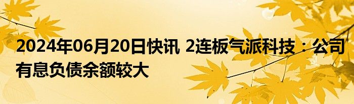 2024年06月20日快讯 2连板气派科技：公司有息负债余额较大