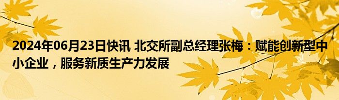 2024年06月23日快讯 北交所副总经理张梅：赋能创新型中小企业，服务新质生产力发展