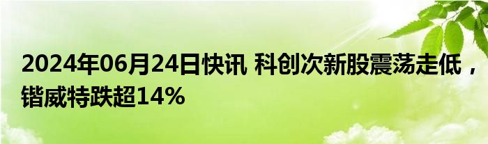 2024年06月24日快讯 科创次新股震荡走低，锴威特跌超14%