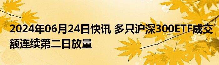 2024年06月24日快讯 多只沪深300ETF成交额连续第二日放量