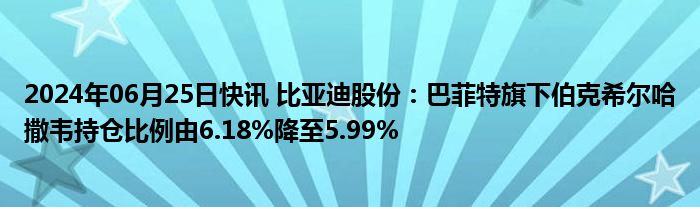 2024年06月25日快讯 比亚迪股份：巴菲特旗下伯克希尔哈撒韦持仓比例由6.18%降至5.99%