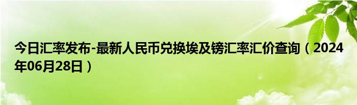 今日汇率发布-最新人民币兑换埃及镑汇率汇价查询（2024年06月28日）