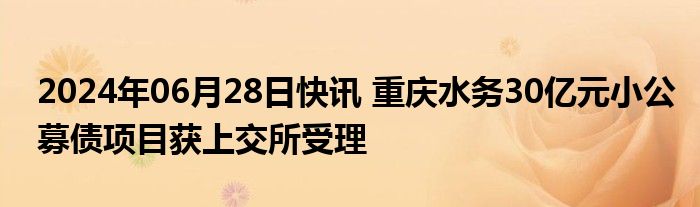 2024年06月28日快讯 重庆水务30亿元小公募债项目获上交所受理