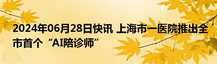 2024年06月28日快讯 上海市一医院推出全市首个“AI陪诊师”