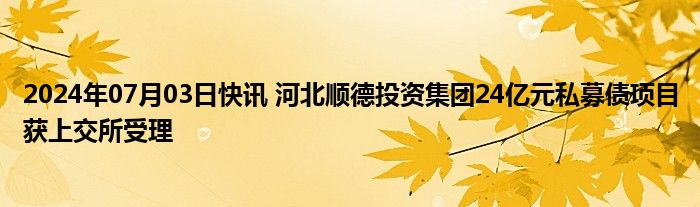 2024年07月03日快讯 河北顺德投资集团24亿元私募债项目获上交所受理