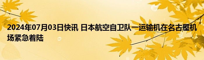 2024年07月03日快讯 日本航空自卫队一运输机在名古屋机场紧急着陆