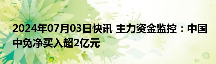 2024年07月03日快讯 主力资金监控：中国中免净买入超2亿元