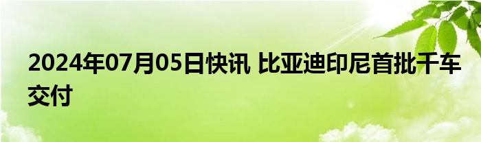 2024年07月05日快讯 比亚迪印尼首批千车交付