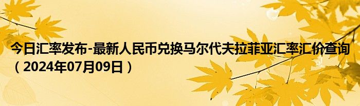 今日汇率发布-最新人民币兑换马尔代夫拉菲亚汇率汇价查询（2024年07月09日）