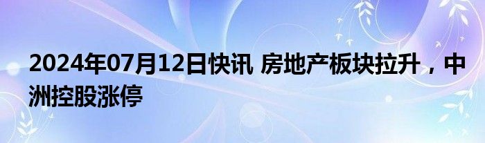 2024年07月12日快讯 房地产板块拉升，中洲控股涨停