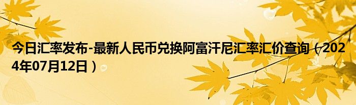 今日汇率发布-最新人民币兑换阿富汗尼汇率汇价查询（2024年07月12日）