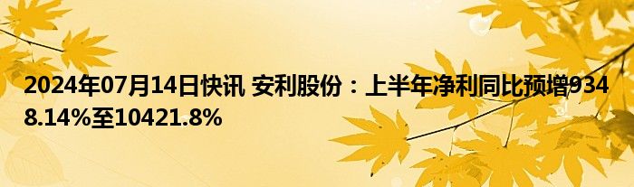 2024年07月14日快讯 安利股份：上半年净利同比预增9348.14%至10421.8%