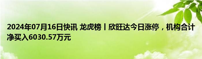 2024年07月16日快讯 龙虎榜丨欣旺达今日涨停，机构合计净买入6030.57万元