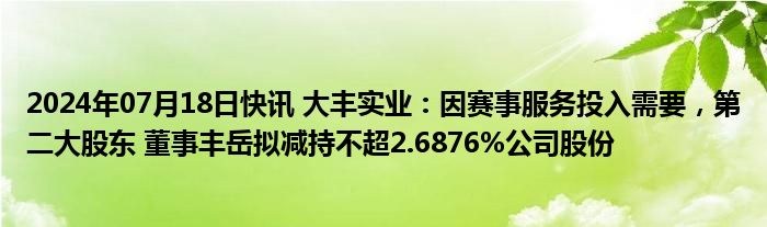 2024年07月18日快讯 大丰实业：因赛事服务投入需要，第二大股东 董事丰岳拟减持不超2.6876%公司股份