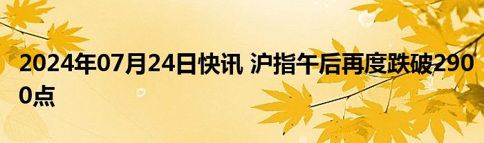 2024年07月24日快讯 沪指午后再度跌破2900点