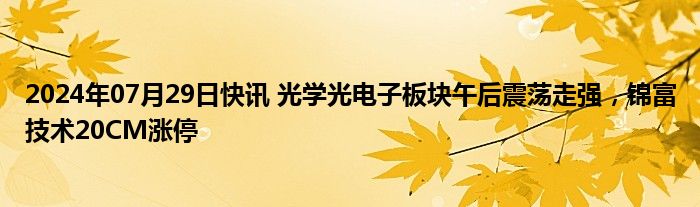 2024年07月29日快讯 光学光电子板块午后震荡走强，锦富技术20CM涨停