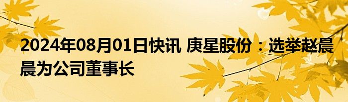 2024年08月01日快讯 庚星股份：选举赵晨晨为公司董事长