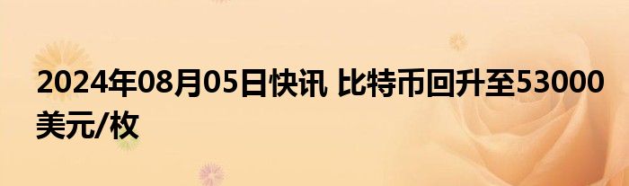 2024年08月05日快讯 比特币回升至53000美元/枚