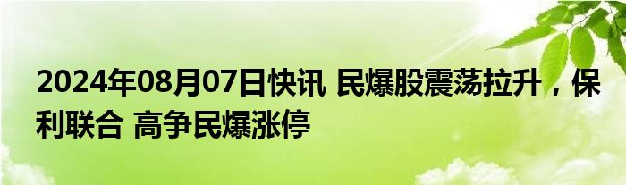 2024年08月07日快讯 民爆股震荡拉升，保利联合 高争民爆涨停