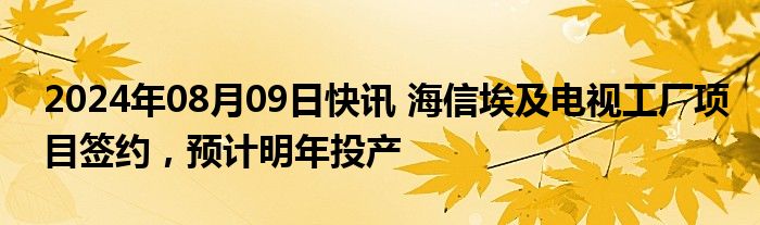 2024年08月09日快讯 海信埃及电视工厂项目签约，预计明年投产